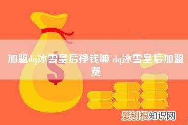加盟dq冰雪皇后挣钱嘛,dq冰雪皇后加盟费