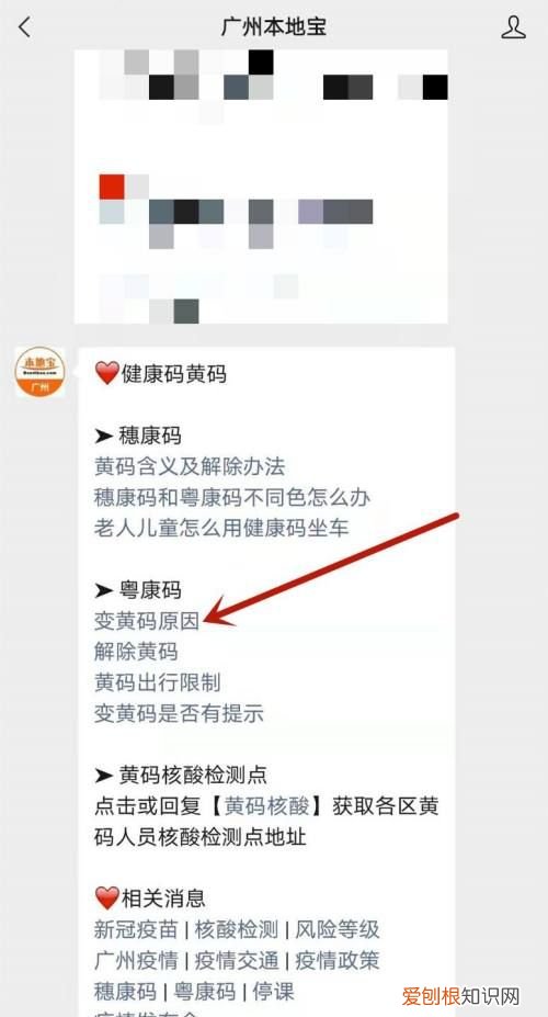 健康码变成黄码怎么办 健康码变成黄码如何处理