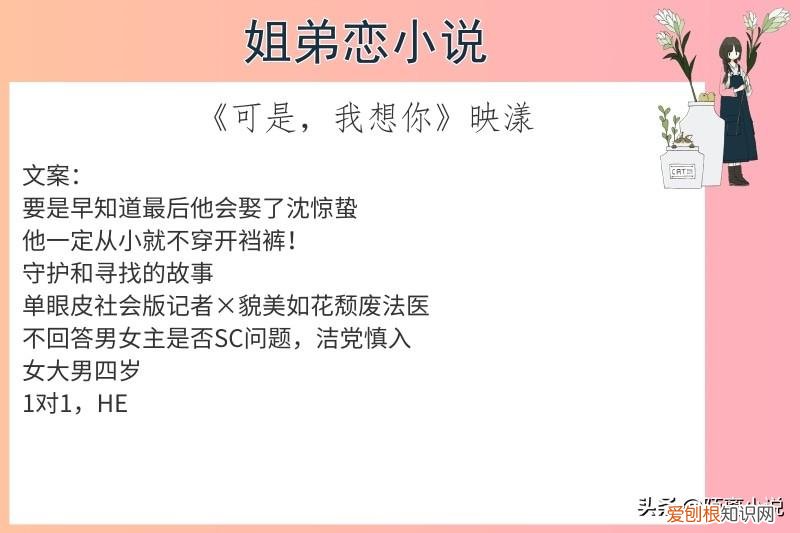 好看的姐弟恋小说