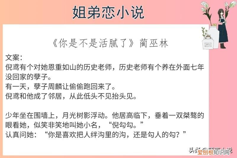 好看的姐弟恋小说