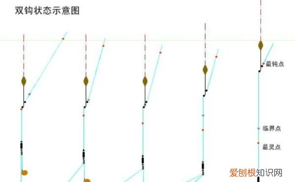 调几目钓几目是什么意思，钓鱼中说道调几目,钓几目是什么意思