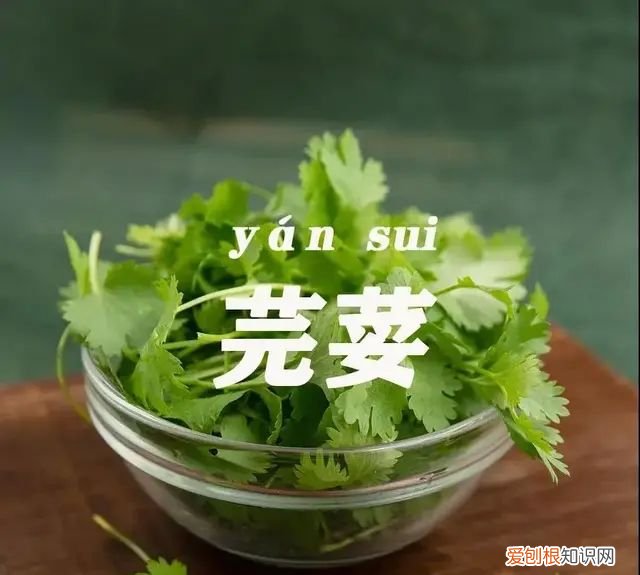 忘忧草也就是人们餐桌上的黄花菜