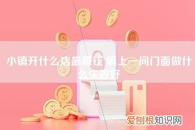 小镇开什么店最赚钱,镇上一间门面做什么生意好