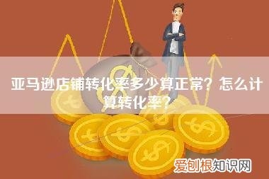 亚马逊店铺转化率多少算正常？怎么计算转化率？