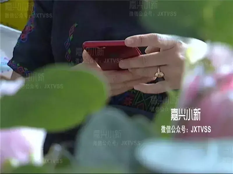 公关是什么意思,女公关到底做什么