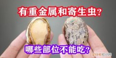 鲍鱼的壳子能放下去一起煲汤吗,鲍鱼壳里面除了肉还有什么不能吃