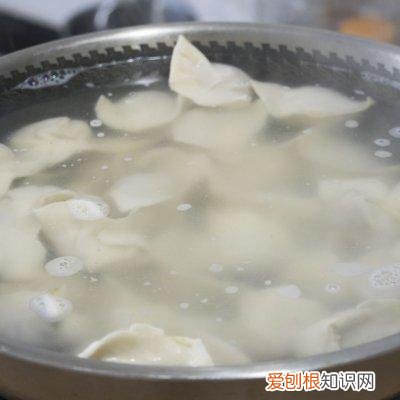 牛肉饺子馅的做法,牛肉菲菜饺子馅的做法