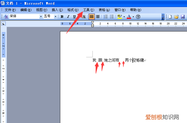 word如何才可以显示空格，word2003怎么显示空格的点