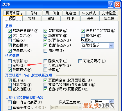 word如何才可以显示空格，word2003怎么显示空格的点