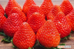丹东草莓每年几月份上市 丹东草莓在2-5月开始上市对