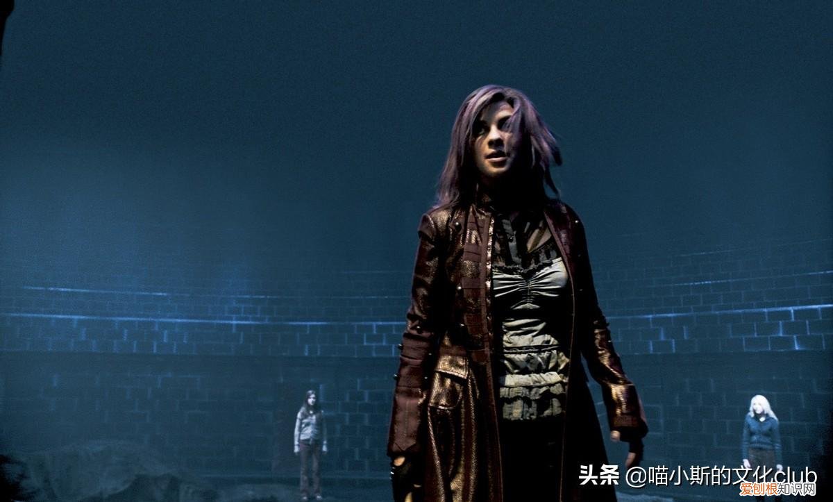 哈利波特十大美女,帅哥 哈利波特十大美女