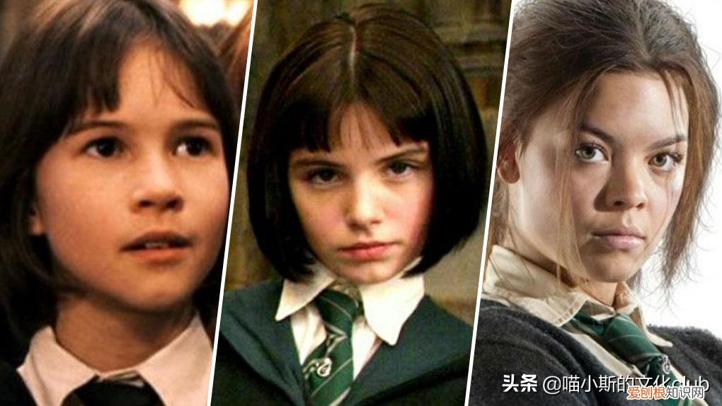 哈利波特十大美女,帅哥 哈利波特十大美女