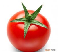 西红柿种子怎么留种，如何提取西红柿的种子