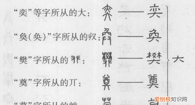 咬文嚼字：冷僻字「爨」——興字头，林字腰，大字下面架火烧