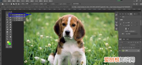 ps里要如何反选，ps怎么反选选区