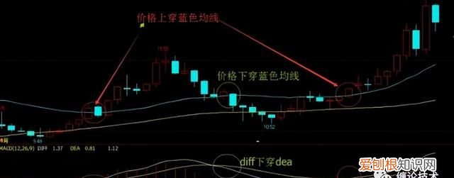 macd指标详解主图和副图什么意思