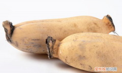 10月莲藕什么意思，莲藕什么时候成熟 莲藕的介绍