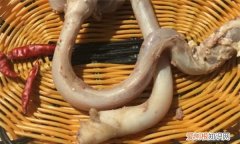 羊鞭的功效与作用 羊鞭的作用