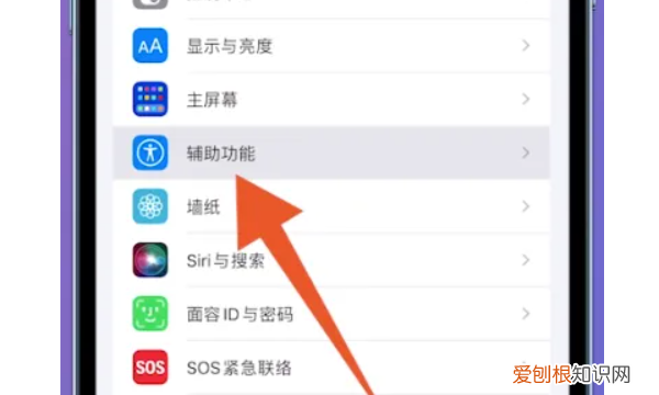 苹果手机怎么静音，苹果手机静音怎样操作