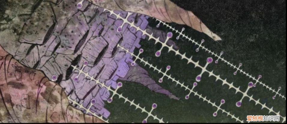 怪化猫剧情解析海坊主 怪化猫剧情解析