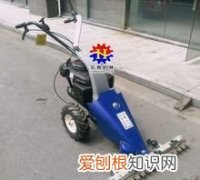 松土机器是什么动物的别称 什么动物被称呼是松土机器