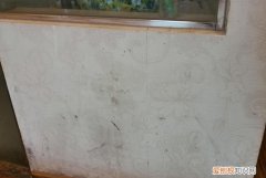 墙纸发霉怎么处理妙招 墙纸发霉如何处理