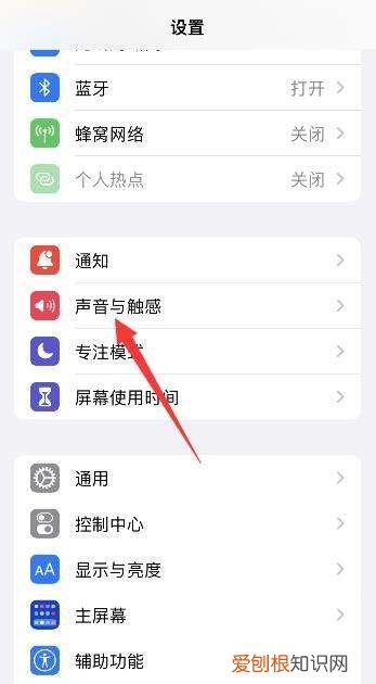苹果13的拨号音取消不了,苹果手机取消拨号音怎么操作