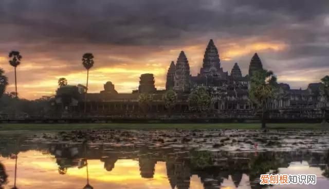 在柬埔寨的华人都是干什么的?