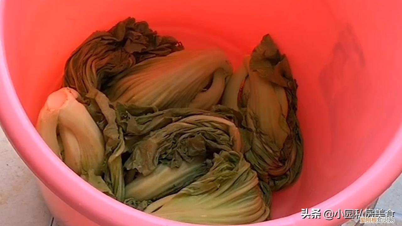开水烫的酸菜的做法 最简单的酸菜腌制方法