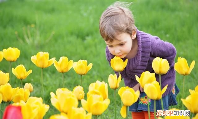 同音形似词scent、cent，scene、seen用拆分会意记忆很好记