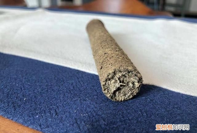 大艾草和小艾草怎么区分 大艾草和小艾草的区分方法