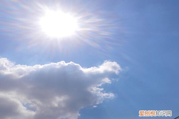 额头、鼻尖、胸部和背部出汗是什么意思