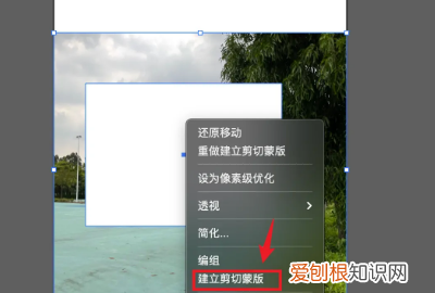 ai怎样才能裁剪，ai裁剪工具怎么自由裁剪图片