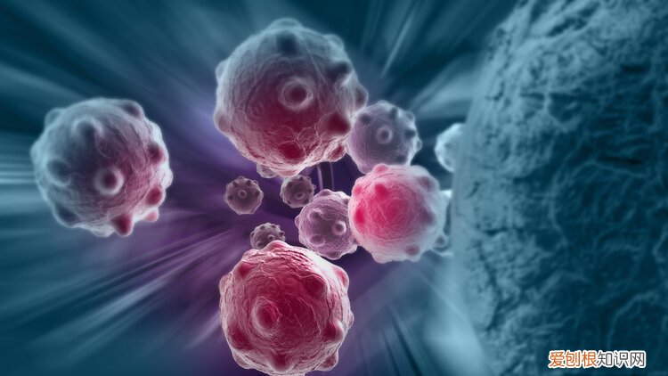 80%的癌症患者术后3年内会复发，这四件事可以帮助你延长生存期