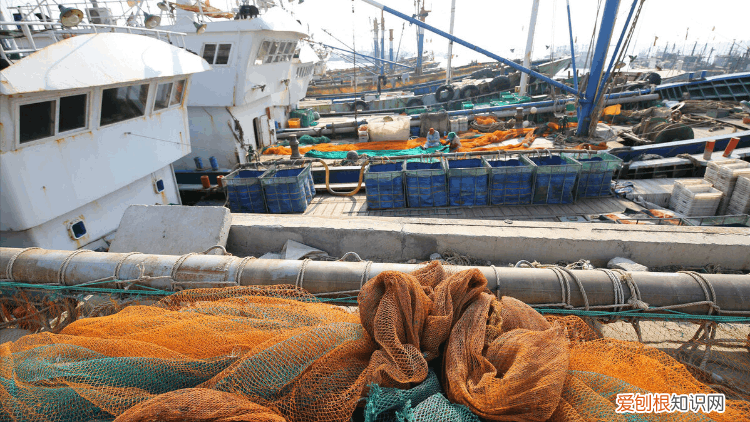 中国南极海上捕鱼船年捕鱼虾量2.6万吨，能赚2亿