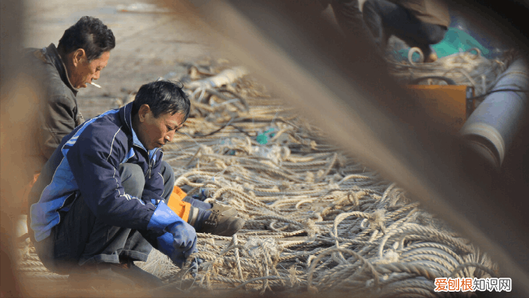 中国南极海上捕鱼船年捕鱼虾量2.6万吨，能赚2亿