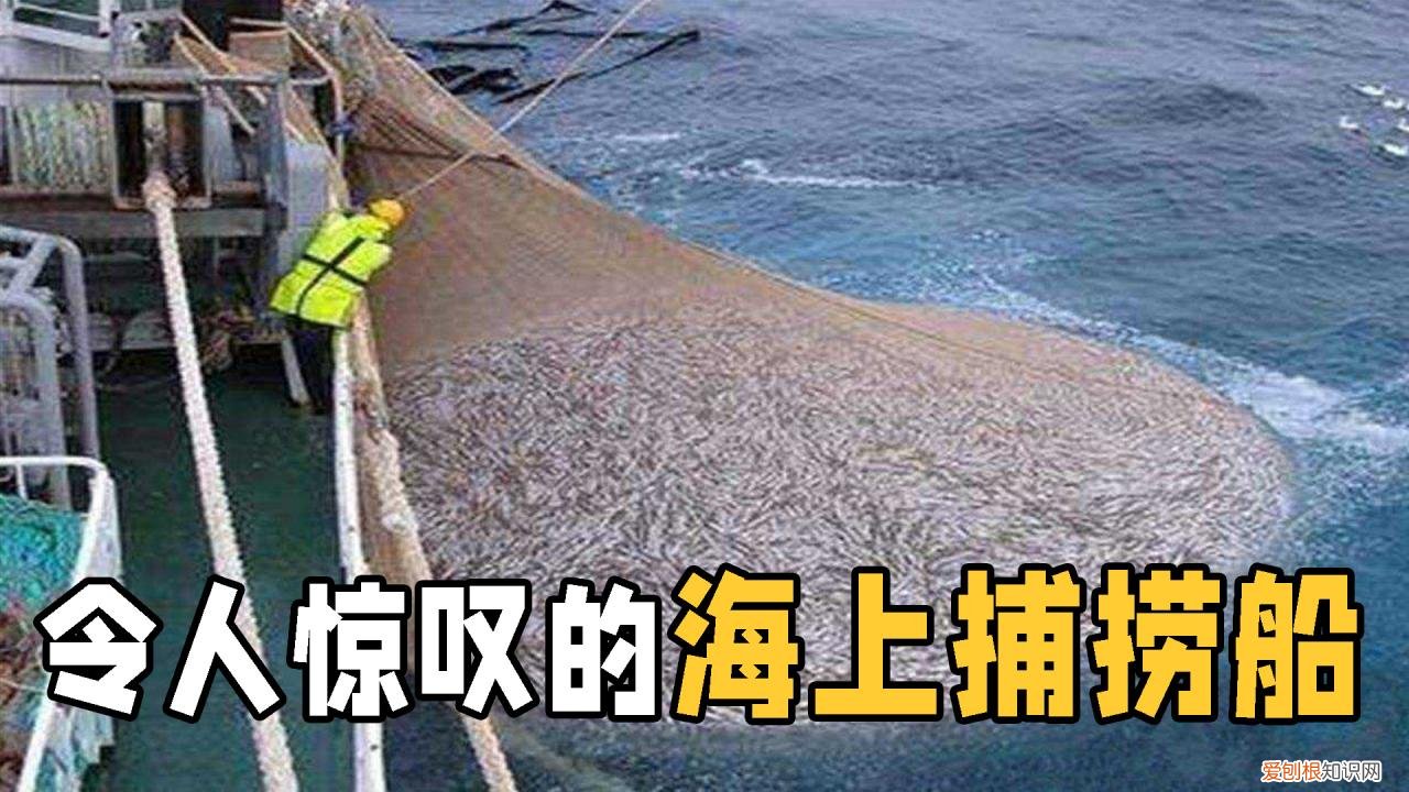 中国南极海上捕鱼船年捕鱼虾量2.6万吨，能赚2亿