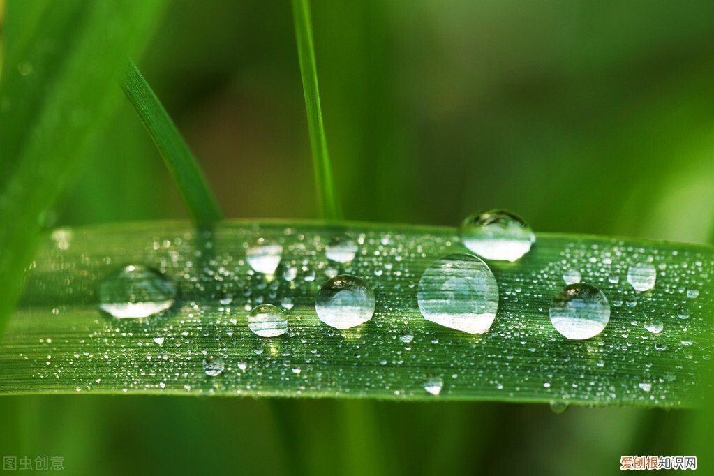 雨水节气养生原则：护肝阳，助脾运。避免湿冷、油腻、心燥