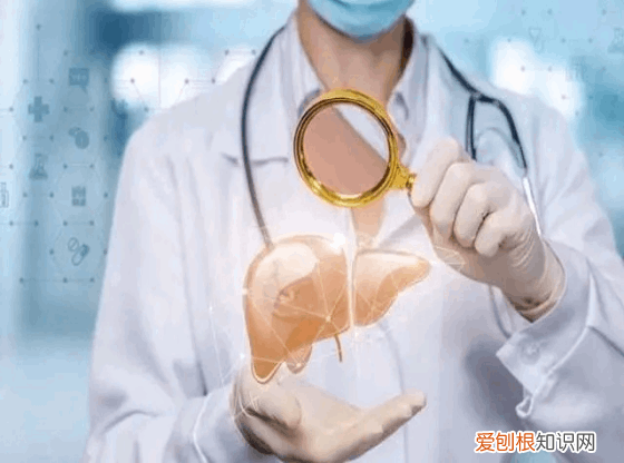 中年体检时，这五个指标正常，说明你的身体素质还不错