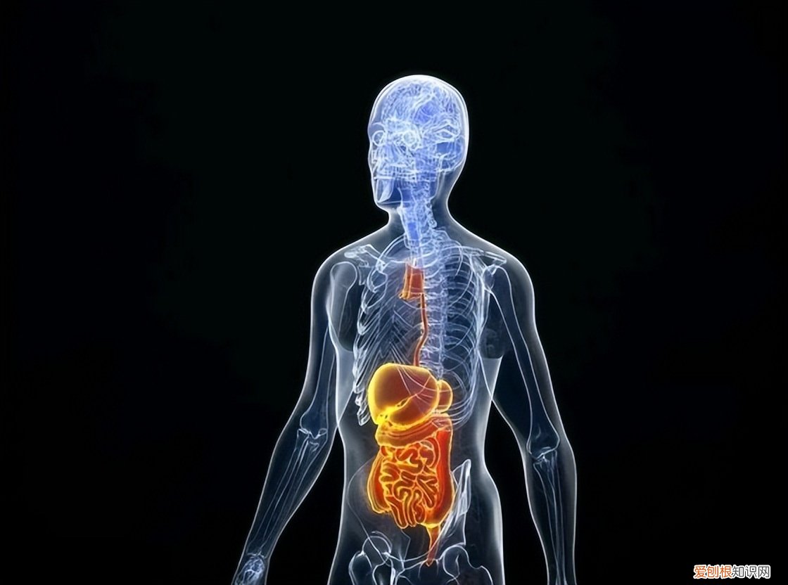 中年体检时，这五个指标正常，说明你的身体素质还不错