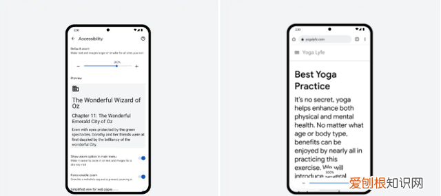 谷歌浏览器插件放大,谷歌浏览器关闭缩小放大功能