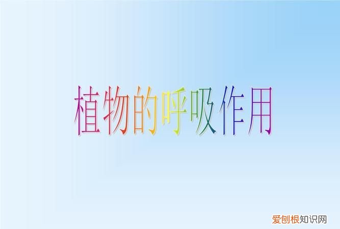 植物的根能进行呼吸作用 植物的根可以进行呼吸作用