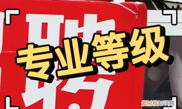 专技岗位及级别工资，专业技术岗位等级标准