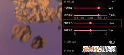 b站看怎么对弹幕进行设置