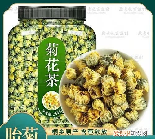 喝菊花茶的好处和坏处 喝菊花茶的好处和坏处有哪些
