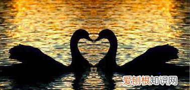 ps拼接痕迹要如何消除，ps如何把两张拼在一起的图片