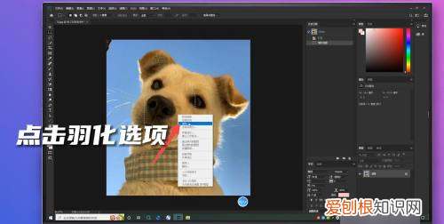 PS上可以如何羽化边缘，ps羽化边缘怎么变清晰