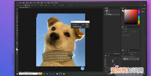 PS上可以如何羽化边缘，ps羽化边缘怎么变清晰