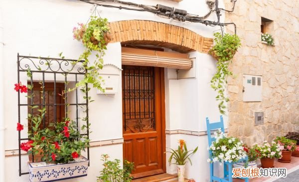 清盛锦的栽培繁殖方法 清盛锦如何栽培繁殖