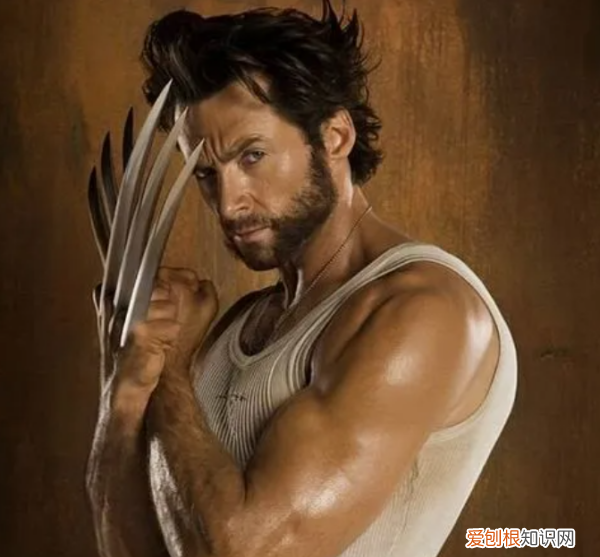 黑豹的爪子怎么折,爪子怎么折 金刚狼 僵尸